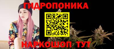 2c-b Гусев