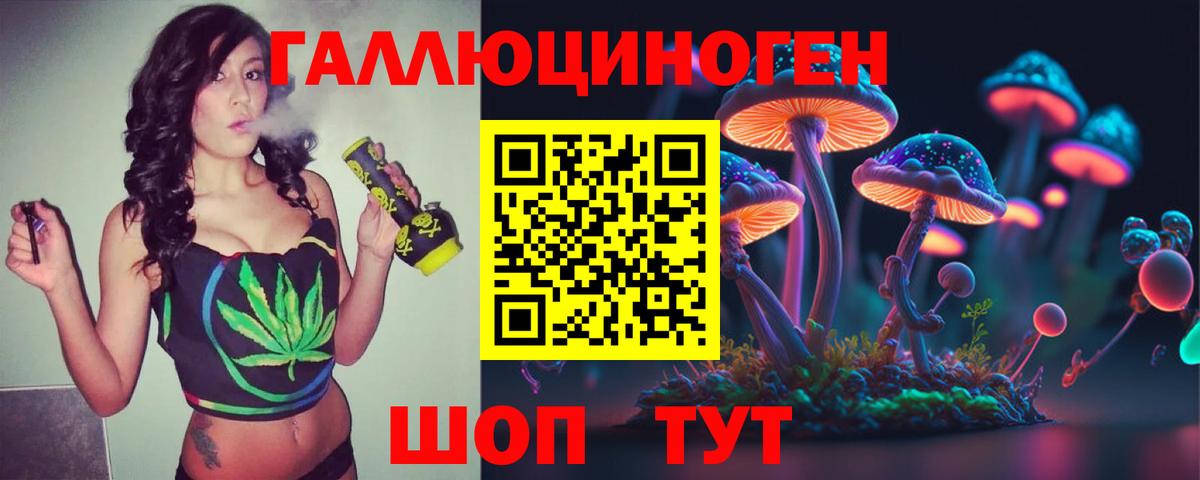 Псилоцибиновые грибы MAGIC MUSHROOMS  Псилоцибиновые грибы GOLDEN TEACHER  Вход с VPN  Мурино 